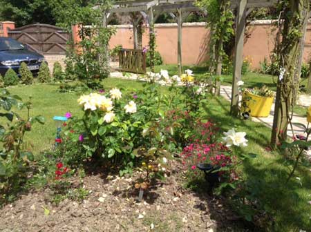 Chideock-House-Bedroom-garden view-west-dorset-country