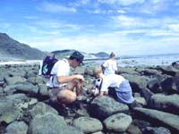 Chideock-House-Bedroom-four-shower-room-west-dorset-country