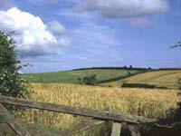Farm land around Chideock-House-Bedroom-two-west-dorset-country